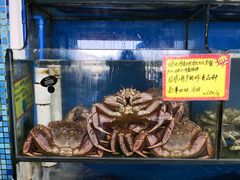 水产区-蚝专家(北滘店)