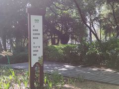 -海珠湖公园