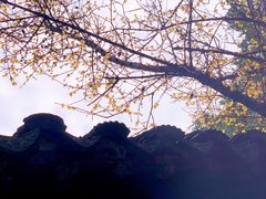 -虎丘山风景名胜区