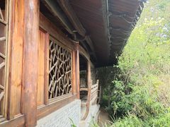 -三垟湿地