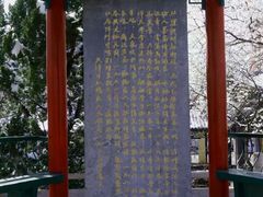 -桃花堤公园