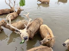 -宁波杭州湾国家湿地公园