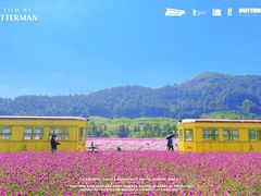 -径山花海