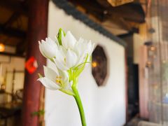 -煮雨小筑(斜塘老街店)