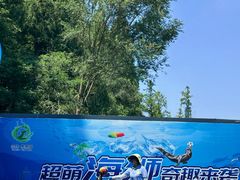 -日照海滨国家森林公园
