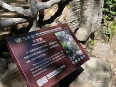 -野三坡百里峡景区