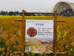 -中国天府农业博览园