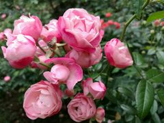 -人民公园(罗湖区)