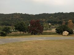 -龙寺生态园