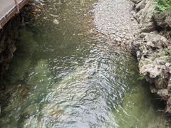 -九龙潭景区