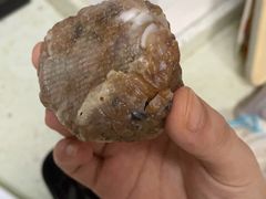-217笋干馄饨