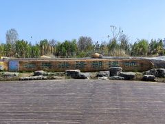 -泗洪洪泽湖湿地景区