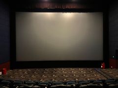 -博纳国际影城(凯德广场店)