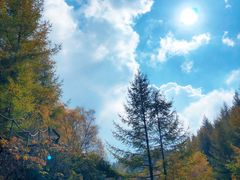 -苏木山森林公园