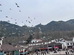 -九华山风景区