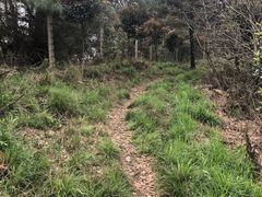 -青龙山国家森林公园