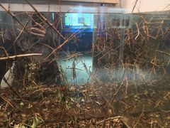 -上海昆虫博物馆