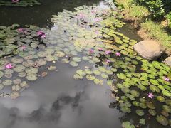 -白沙门生态公园