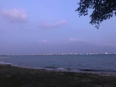 -东海岸人工湖美食村