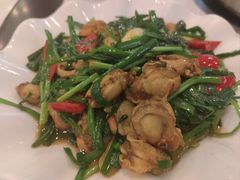 -翡翠老鸭店