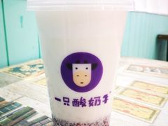 -一只酸奶牛(八一路店)