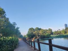 -艾溪湖湿地公园