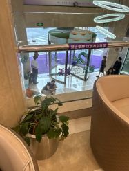 -南京康美美容医院·旗舰店