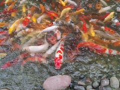 -南通洲际绿博园