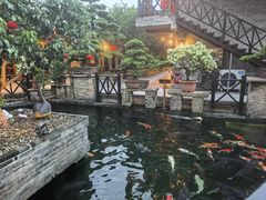 -猪肉婆私房菜(容桂总店)
