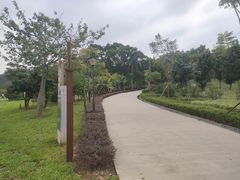 -中山市树木园