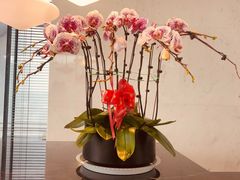 -徐记海鲜(曲江南湖店)