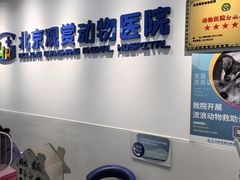 -北京观赏动物医院·24小时大型综合·猫专科·异宠专科