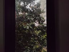 -复旦大学江湾校区食堂