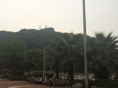 -重庆海昌加勒比海水世界