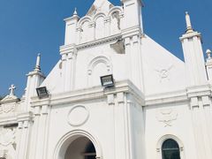 -杭州湾海上花田景区