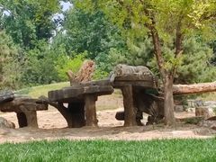 -北京野生动物园