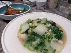 -前海沿·青岛菜(大拇指广场石老人店)