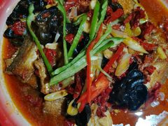 -柴窝堡22号辣子鸡·传承新疆菜