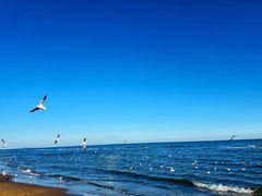 -y SEA·西班牙餐厅(阿那亚·北戴河店)