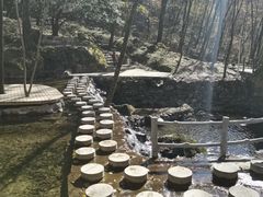 -牛背梁国家森林公园