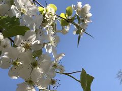 -天津盘山风景名胜区