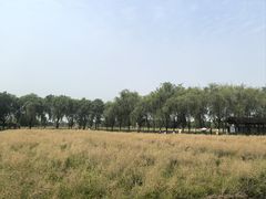 -长兴太湖图影湿地文化园
