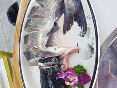 -小厨家松花江.鲜鱼坊(天麻滋补鱼汤店)