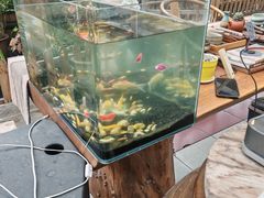 -丫口花园餐厅·融合菜