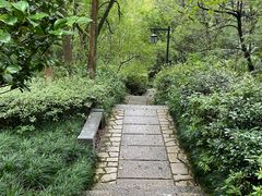 -杭州半山国家森林公园