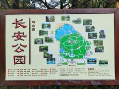 -长安公园