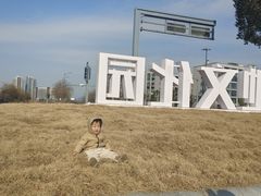 -长兴太湖图影湿地文化园