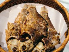 -辛香味烧鱼馆·非遗技艺·排骨红烧肉(光谷医药园店)