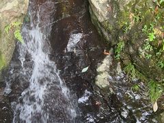 -长谷洞天