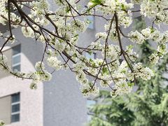 -中国光大银行(上地支行)